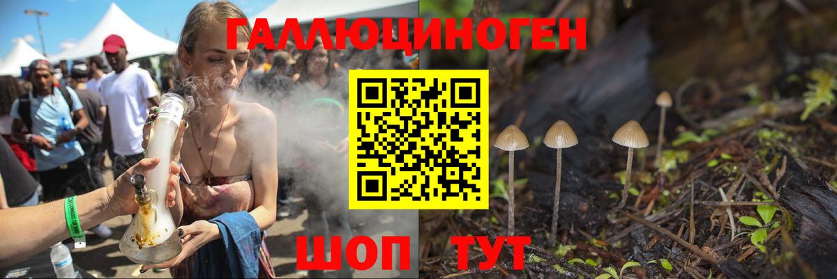 Галлюциногенные грибы GOLDEN TEACHER  Псилоцибиновые грибы Magic Shrooms  Орск  Вход с VPN 